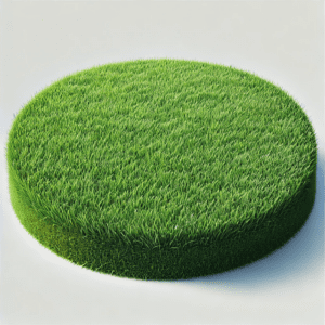 Guide til græsplænepleje