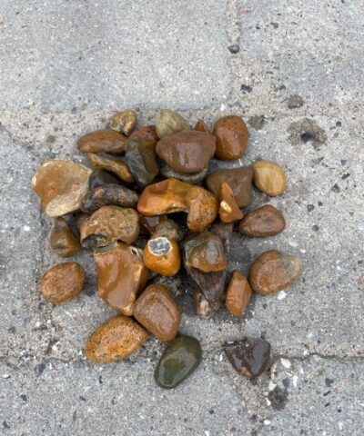 Pyntesten fra Nordsøen 16-32 mm