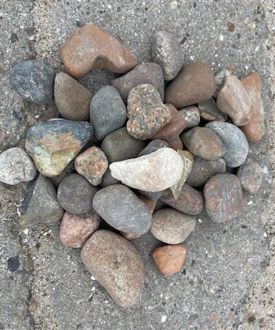 Pyntesten fra Nordsøen 16-32 mm