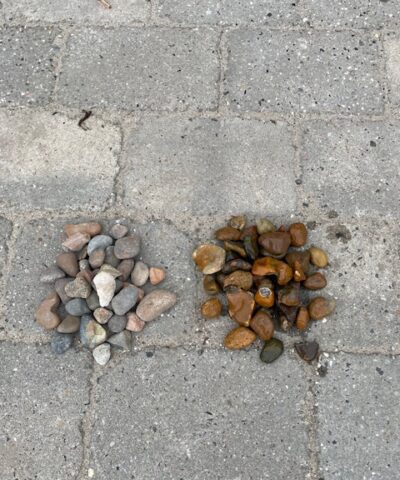 Pyntesten fra Nordsøen 16-32 mm