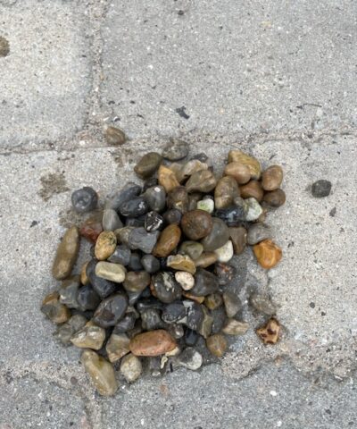 Pyntesten fra Nordsøen 8-16 mm