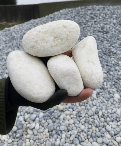 Pyntesten hvide 70-100 mm