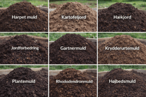 Komplet guide til muld og jord – vælg den rigtige jord til dit haveprojekt