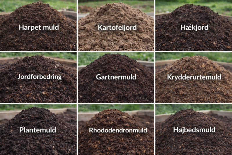 Komplet guide til muld og jord – vælg den rigtige jord til dit haveprojekt